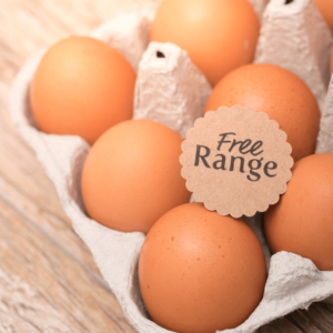 Half a Dozen Free Range Eggs